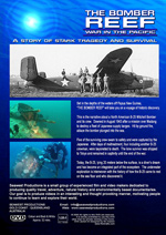 Click For Enlargement